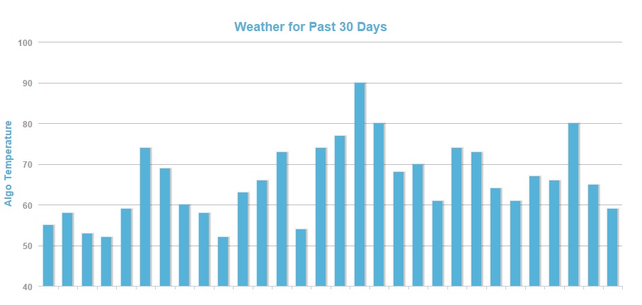 30 - Day Google Search Engine Fluctuation